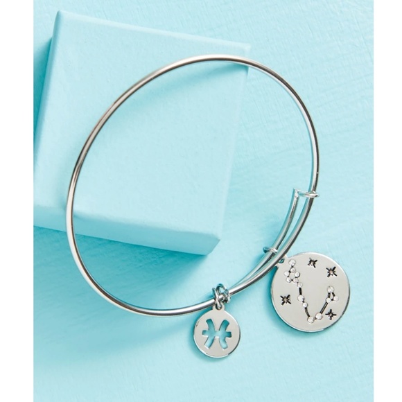 Earthbound Zodiac Pisces Silver Charm Bangle Bracelet NEW - Picture 3 of 3